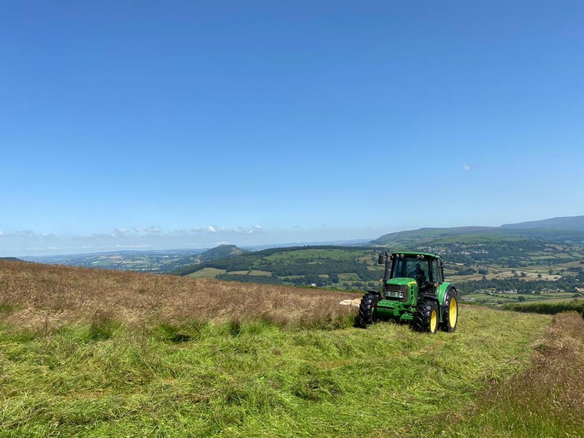 Pant Llwyd Farm * Llangynidr