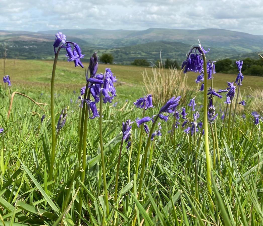 Pant Llwyd Farm * Llangynidr