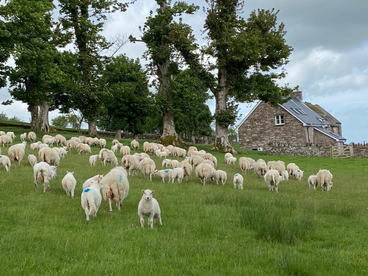 Hébergement de vacances Pant Llwyd Farm Llangynidr