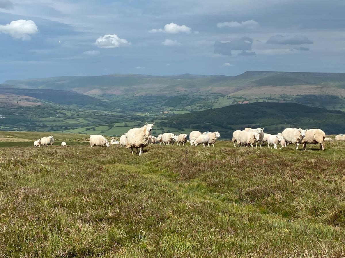 Hébergement de vacances Pant Llwyd Farm Llangynidr